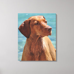 Hongaarse Vizsla-hond Canvas Afdruk