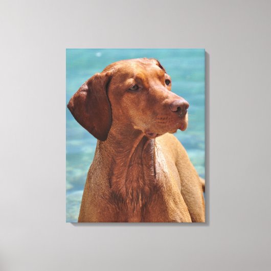 Hongaarse Vizsla-hond Canvas Afdruk (Voorkant)
