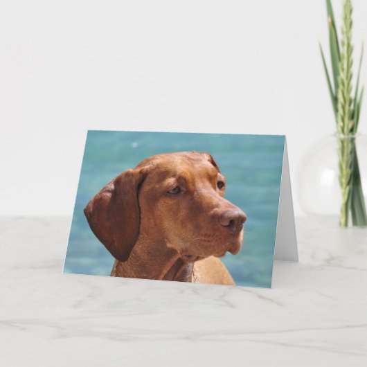 Hongaarse Vizsla-hond Kaart (Voorkant)