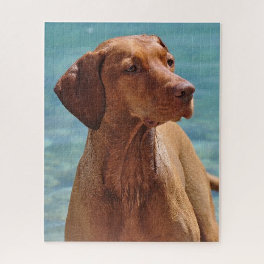 Hongaarse Vizsla-hond Legpuzzel (Verticaal)