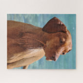 Hongaarse Vizsla-hond Legpuzzel (Horizontaal)
