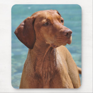 Hongaarse Vizsla-hond Muismat