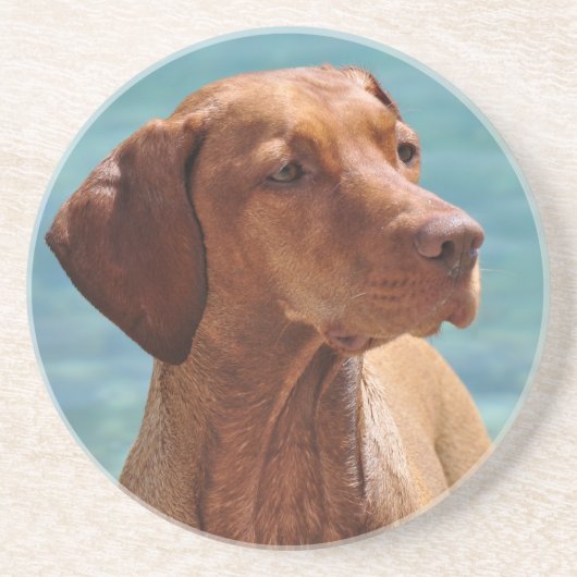 Hongaarse Vizsla-hond Zandsteen Onderzetter (Voorkant)