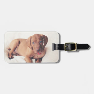 Hongaarse Vizsla Puppy Bagagelabel