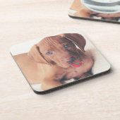 Hongaarse Vizsla Puppy Bier Onderzetter (Linkerzijde)