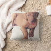 Hongaarse Vizsla Puppy Kussen (Deken)