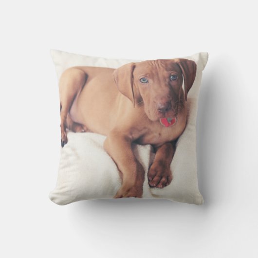 Hongaarse Vizsla Puppy Kussen (Voorkant)
