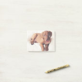 Hongaarse Vizsla Puppy Post-it® Notes (Op bureau)
