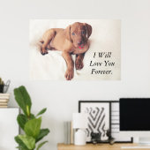 Hongaarse Vizsla Puppy Poster (Thuiskantoor)