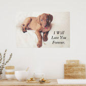 Hongaarse Vizsla Puppy Poster (Keuken)