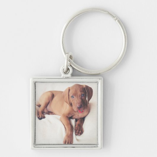 Hongaarse Vizsla Puppy Sleutelhanger (Voorkant)
