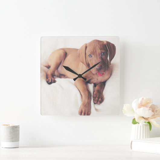 Hongaarse Vizsla Puppy Vierkante Klok (Huis)