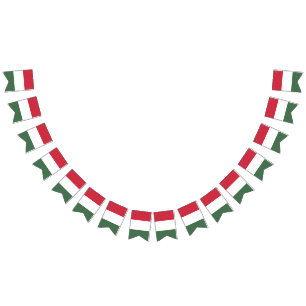 Hongaarse vlag banner