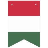 Hongaarse vlag banner (Tweede vlag)
