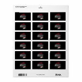 Hongaarse vlag etiket (Full Sheet)