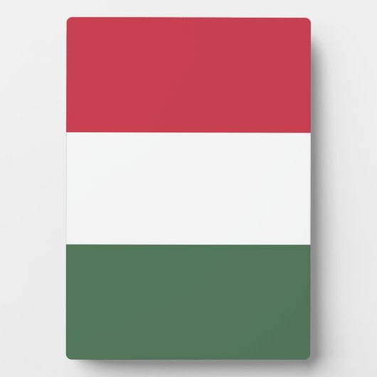 Hongaarse vlag fotoplaat (voorkant)