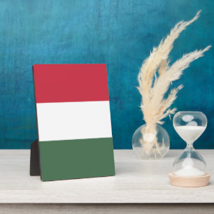 Hongaarse vlag fotoplaat