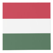 Hongaarse vlag kubus (Rechts)