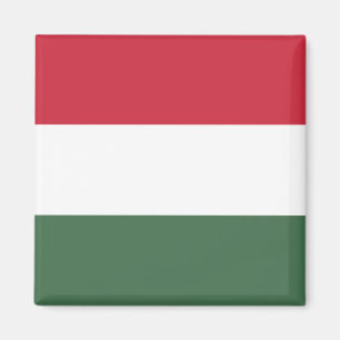 Hongaarse vlag magneet