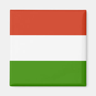 Hongaarse vlag magneet
