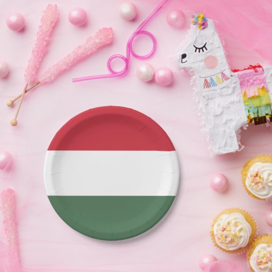 Hongaarse vlag papieren bordje (Feest)