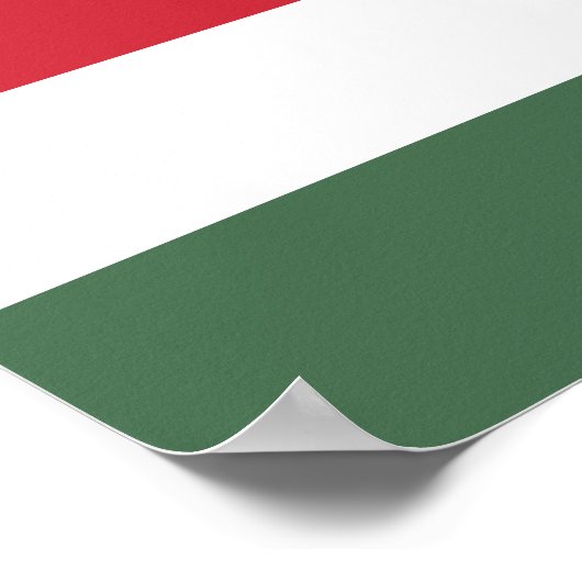 Hongaarse vlag poster (Hoek)