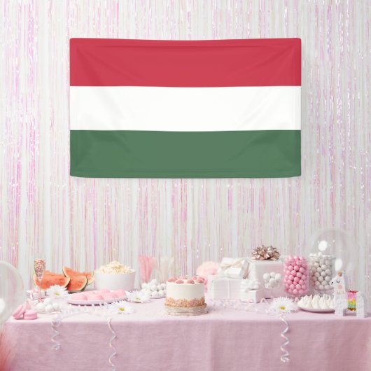 Hongaarse vlag spandoek (Feest)