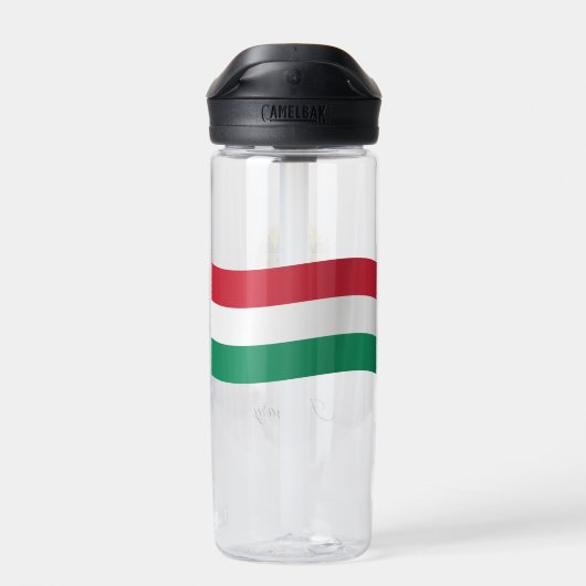 Hongaarse wapenstilstand, vlag, Hongarije Waterfles (Achterkant)