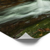 Hongaarse Waterval Bemoste Bos Cascade Poster (Hoek)