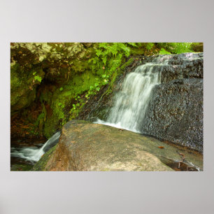Hongaarse Waterval Bemoste Bos Cascade Poster