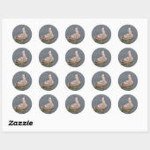 Hongaarse Zee Sticker (Vel)