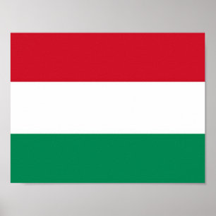 Hongarije - Hongaarse vlag - Poster