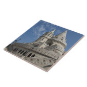 Hongarije, hoofdstad Boedapest. Buda, Castle 2 Tegeltje (Zijkant)