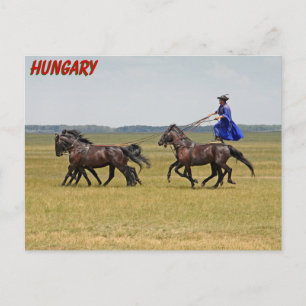 Hongarije horseman en paarden briefkaart