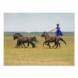 Hongarije horseman en paarden foto afdruk