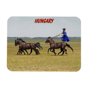 Hongarije horseman en paarden magneet