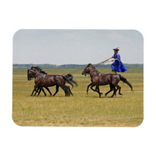 Hongarije horseman en paarden magneet