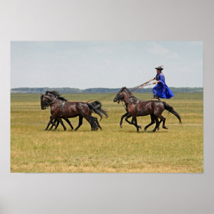 Hongarije horseman en paarden poster