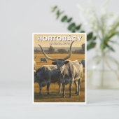 Hongarije Hortobagy Nationaal Park Reizen Briefkaart (Staand voorkant)