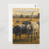 Hongarije Hortobagy Nationaal Park Reizen Briefkaart (Voorkant / Achterkant)