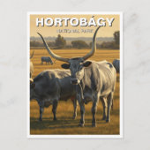 Hongarije Hortobagy Nationaal Park Reizen Briefkaart (Voorkant)