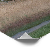 Hongarije landschap poster (Hoek)