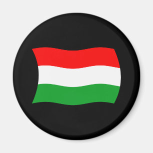 Hongarije Vlag Magneet