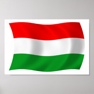 Hongarije Vlag Poster Print