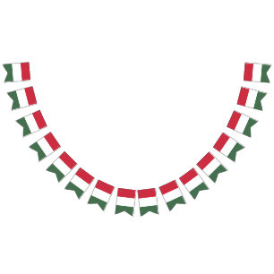 Hongarije Vlag Vlaggetjes