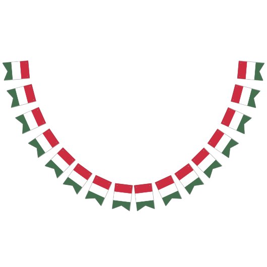 Hongarije Vlag Vlaggetjes (Alle)