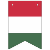 Hongarije Vlag Vlaggetjes (Eerste vlag)