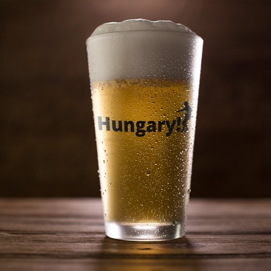 Hongarije voetbal glas