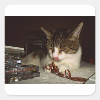Honger naar cassettes vierkante sticker