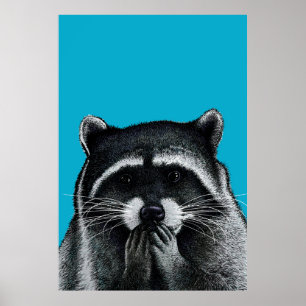 Honger Raccoon op blauw Poster